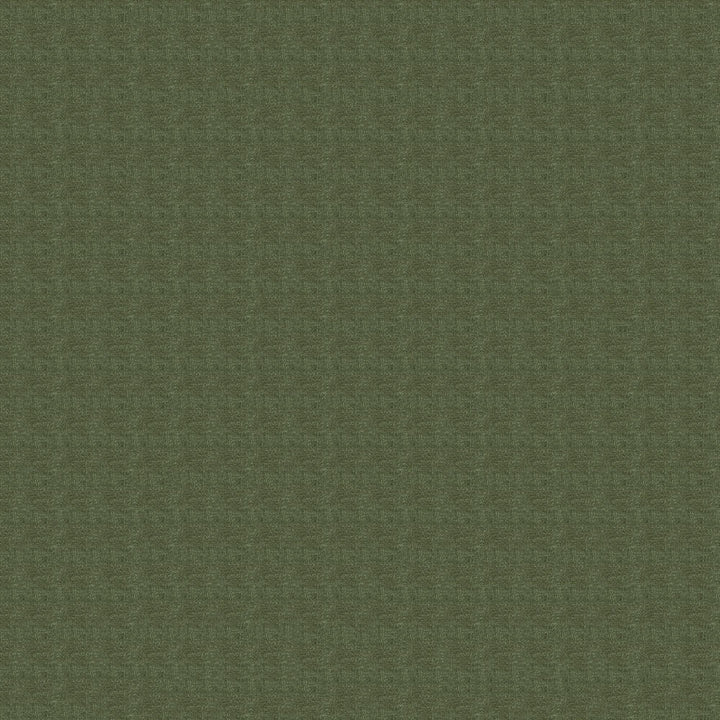Berry 24 Light Green by ABBEYSHEA Fabric N/A 100% Polyester China 60,000 Double Rubs </p><p>Repeat: Horizontal: and Vertical: 54" (137 cm) - Fabric Carolina -