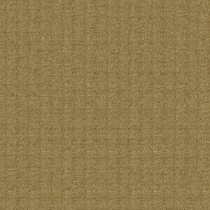 Berry 6009 Sand by ABBEYSHEA Fabric N/A 52% Polyester, 43% Rayon, 5% Linen China 40,000 Double Rubs </p><p>Repeat: Horizontal: 14.7" (37.5 cm) Across the Roll and Vertical: 22.8" (58.0 cm) Up the Roll 57" (144 cm) - Fabric Carolina -