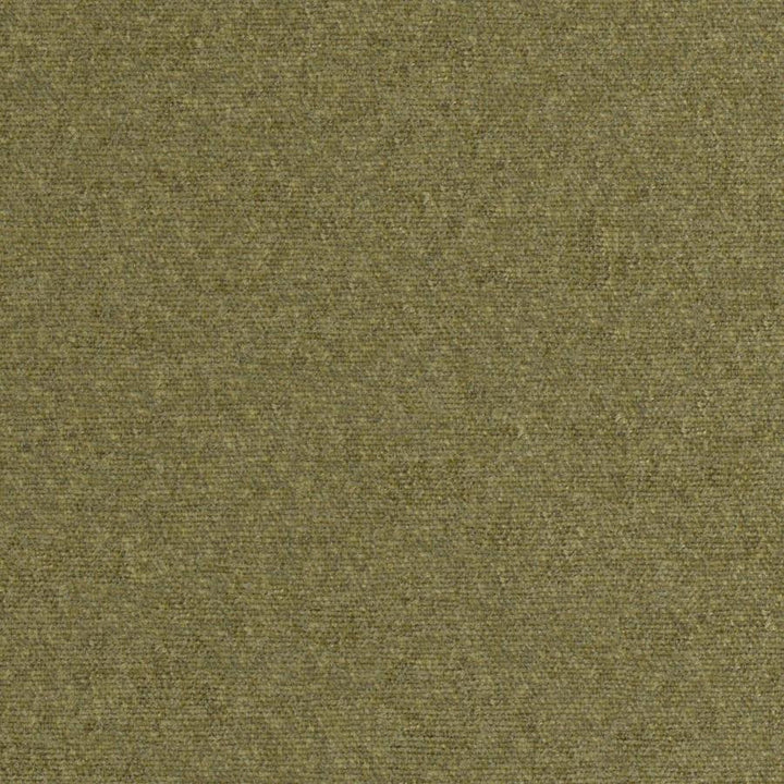 Rondo # 813 Moss by Maxwell Fabric Curled Up Viii 100% RECYCLED POLYESTER INDIA 54" - Fabric Carolina -
