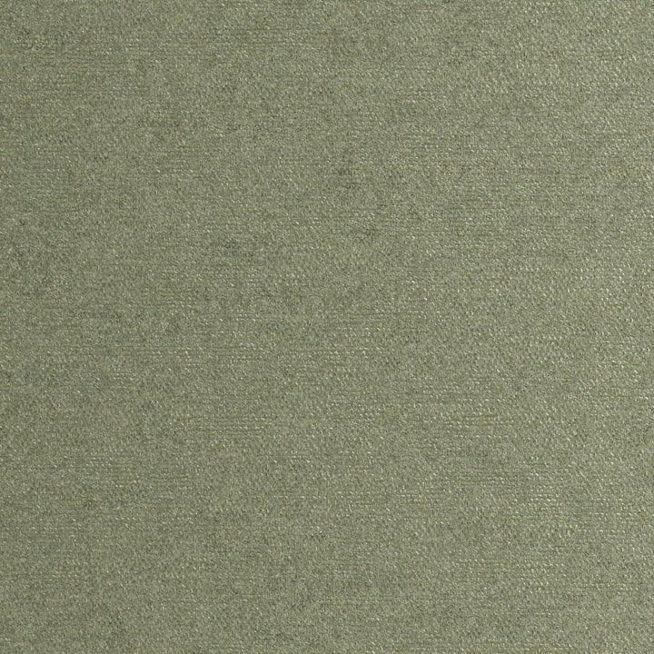 Rondo # 814 Sage by Maxwell Fabric Curled Up Viii 100% RECYCLED POLYESTER INDIA 54" - Fabric Carolina -
