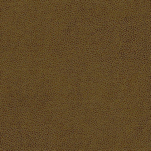 Rambutan-Nj # 755 Hazelnut by Maxwell Fabric