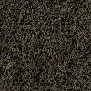 Rambutan-Nj # 758 Soot by Maxwell Fabric