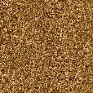 Rambutan-Nj # 760 Age by Maxwell Fabric