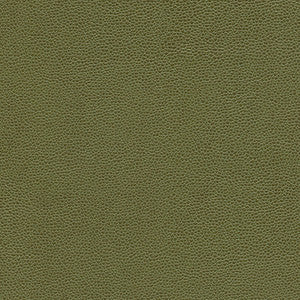Rambutan-Nj # 761 Bush by Maxwell Fabric