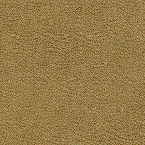 Rambutan-Nj # 764 Clay by Maxwell Fabric