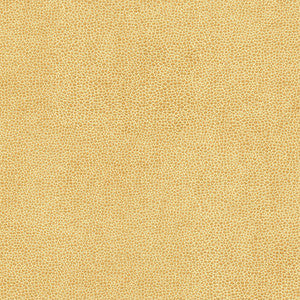 Rambutan-Nj # 765 Buff by Maxwell Fabric