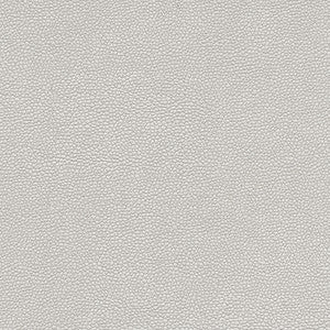 Rambutan-Nj # 766 Silver by Maxwell Fabric