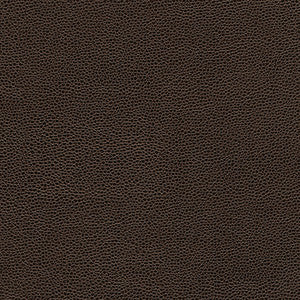 Rambutan-Nj # 767 Trunk by Maxwell Fabric