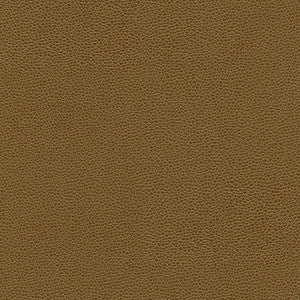 Rambutan-Nj # 768 Cuba by Maxwell Fabric