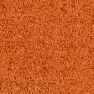 Rambutan-Nj # 769 Tangerine by Maxwell Fabric
