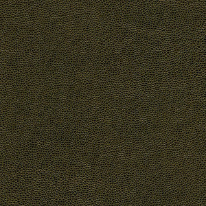 Rambutan-Nj # 771 Frond by Maxwell Fabric