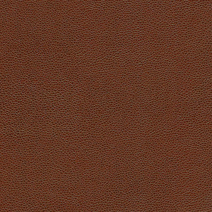 Rambutan-Nj 774 Arbutus by Maxwell Fabric