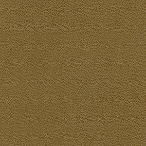 Rambutan-Nj # 775 Oak by Maxwell Fabric
