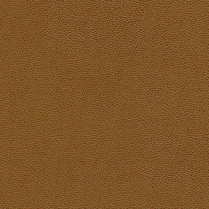 Rambutan-Nj # 776 Maple by Maxwell Fabric