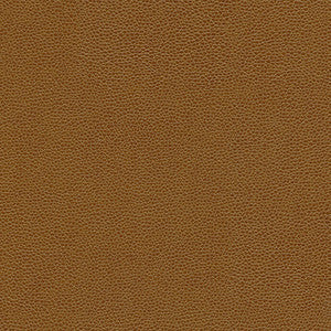 Rambutan-Nj # 776 Maple by Maxwell Fabric