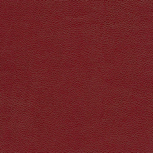 Rambutan-Nj # 777 Sangria by Maxwell Fabric