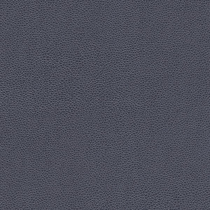 Rambutan-Nj # 778 Cadet by Maxwell Fabric