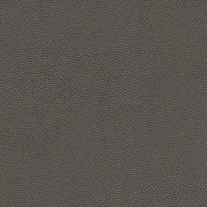 Rambutan-Nj # 779 Graphite by Maxwell Fabric