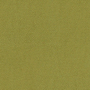 Rambutan-Nj # 780 Grass by Maxwell Fabric
