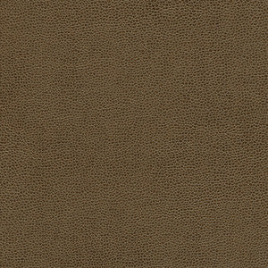 Rambutan-Nj # 784 Espresso by Maxwell Fabric