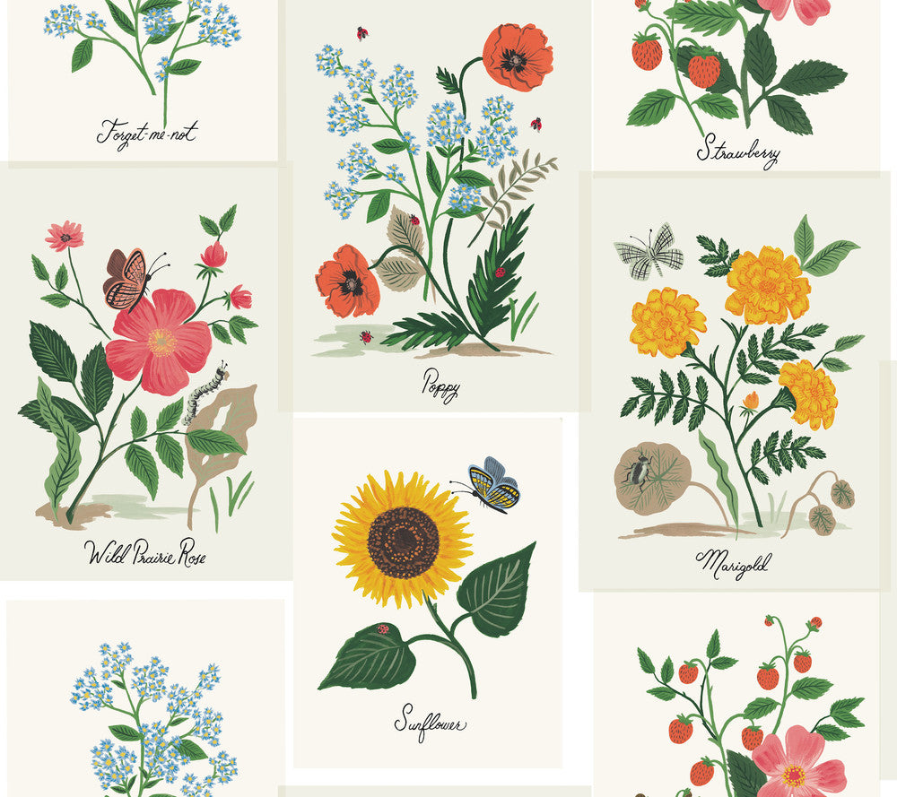 Botanical Prints White & Pink Wallpaper by Rifle Paper Co. Rifle Paper Co. Second Edition Covers about 60.8 square feet 27-in by 27-ft long roll Unpasted 24 - Fabric Carolina -