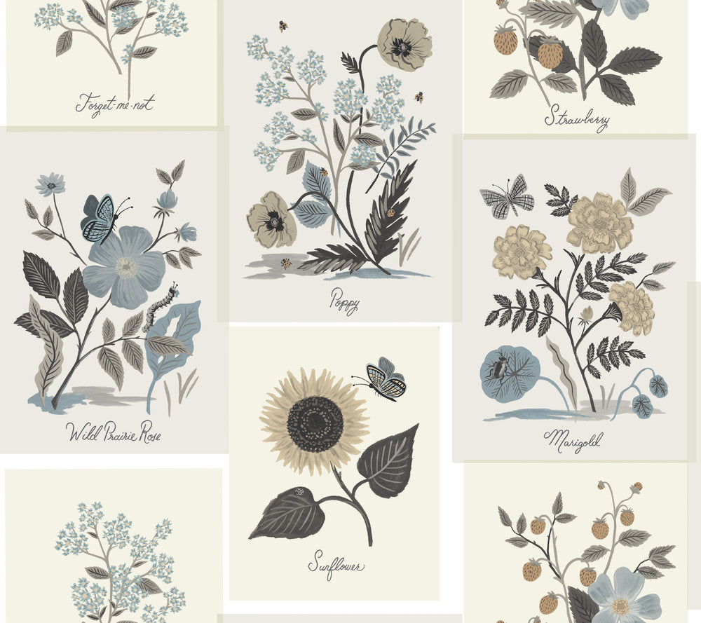 Botanical Prints Beige & Black Wallpaper by Rifle Paper Co. Rifle Paper Co. Second Edition Covers about 60.8 square feet 27-in by 27-ft long roll Unpasted 24 - Fabric Carolina -
