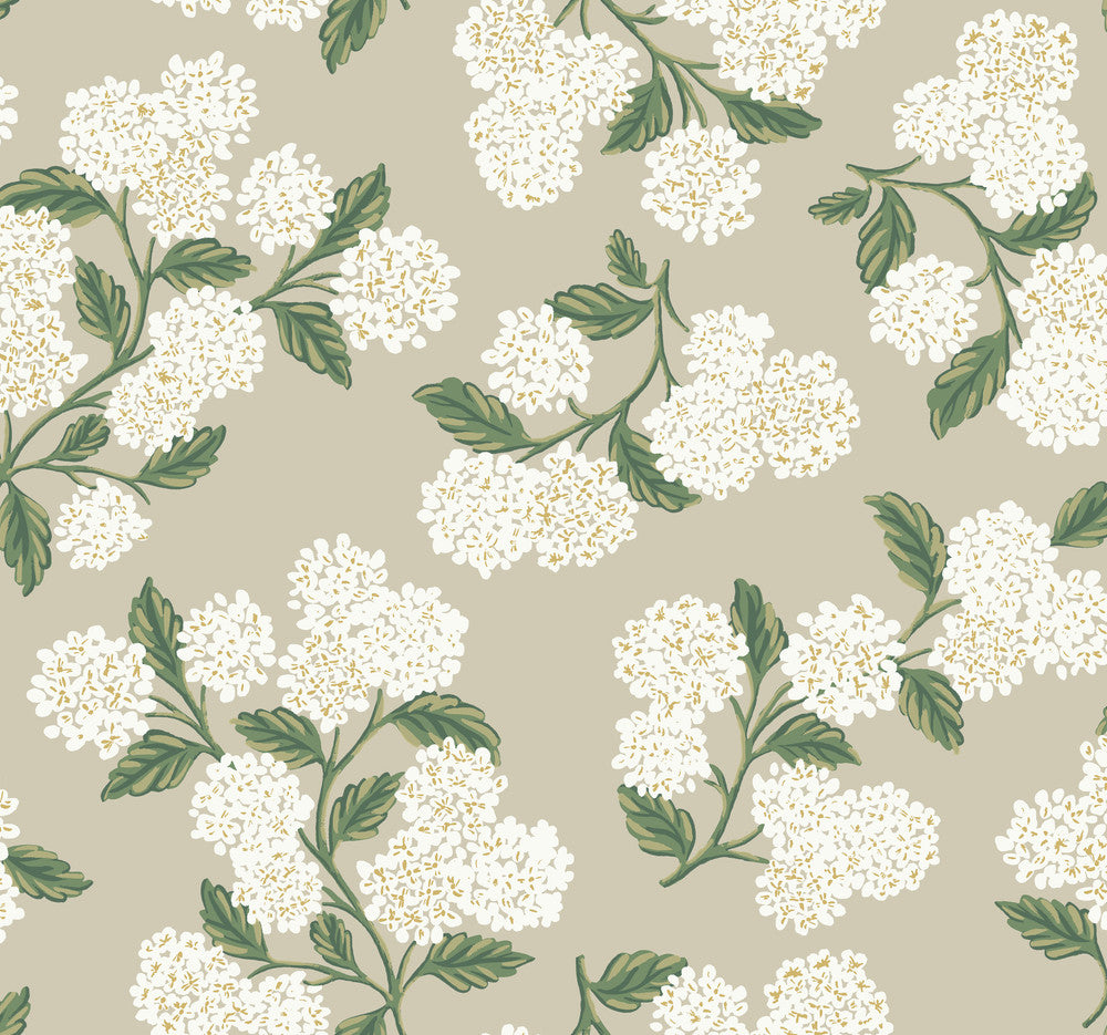 Hydrangea Beige Wallpaper by Rifle Paper Co. Rifle Paper Co. Second Edition Covers about 60.8 square feet 27-in by 27-ft long roll Unpasted 25.25 - Fabric Carolina -