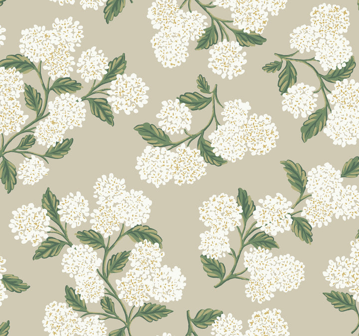 Hydrangea Beige Wallpaper by Rifle Paper Co. Rifle Paper Co. Second Edition Covers about 60.8 square feet 27-in by 27-ft long roll Unpasted 25.25 - Fabric Carolina -