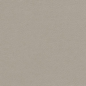 Rugged-Nj # 505 Greige by Maxwell Fabric