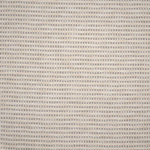 Rockland # 744 Shell by Maxwell Fabric