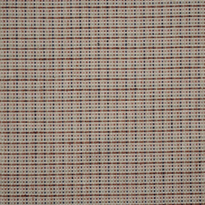 Rousanne # 843 Spumoni by Maxwell Fabric Performance Wovens-Vol. Vii Rhubarb 78% POLYESTER
22% COTTON INDIA V-0.8" H-0.8" 55" - Fabric Carolina -