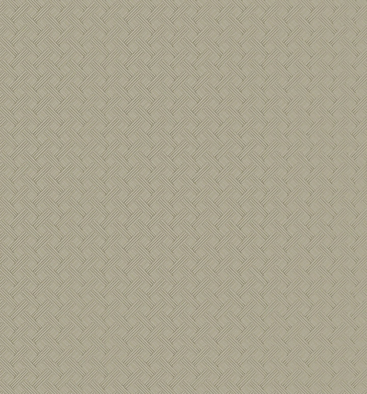 Wickwork Fog Transit Wallpaper by Ronald Redding Industrial Interiors III Covers about 13 square feet Unpasted 5.2-in repeat, straight match 52-in by 3-ft long roll - Fabric Carolina -