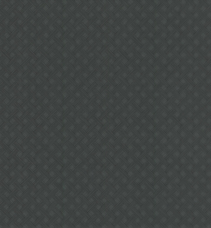 Wickwork Shadow Wallpaper by Ronald Redding Industrial Interiors III Covers about 13 square feet Unpasted 5.2-in repeat, straight match 52-in by 3-ft long roll - Fabric Carolina -