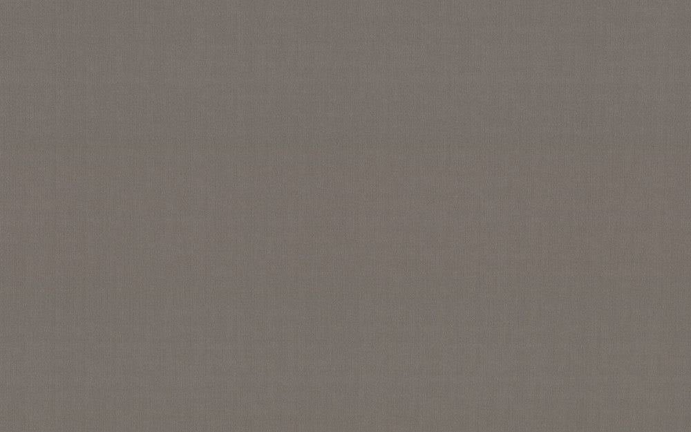 Panama Weave Brown Metallic Wallpaper by Stacy Garcia Stacy Garcia Moderne Covers about 65 square feet 26-in by 30-ft long roll Unpasted 0 - Fabric Carolina -