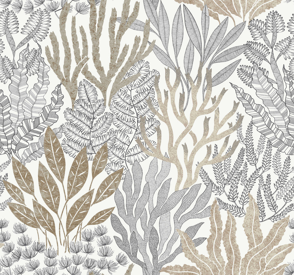 Coral Leaves Taupe & Black Wallpaper by York Wallcoverings Toile Resource Library Covers about 60.8 square feet 27-in by 27-ft long roll Unpasted 25.25 - Fabric Carolina -
