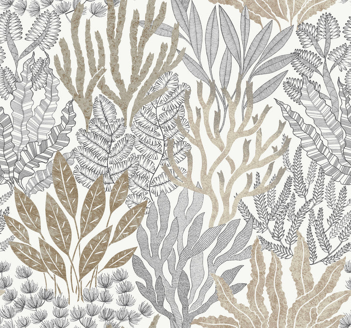 Coral Leaves Taupe & Black Wallpaper by York Wallcoverings Toile Resource Library Covers about 60.8 square feet 27-in by 27-ft long roll Unpasted 25.25 - Fabric Carolina -
