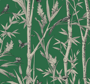 Bambou Toile Green Wallpaper by York Wallcoverings