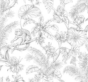 Tropical Sketch Toile Black Wallpaper by York Wallcoverings