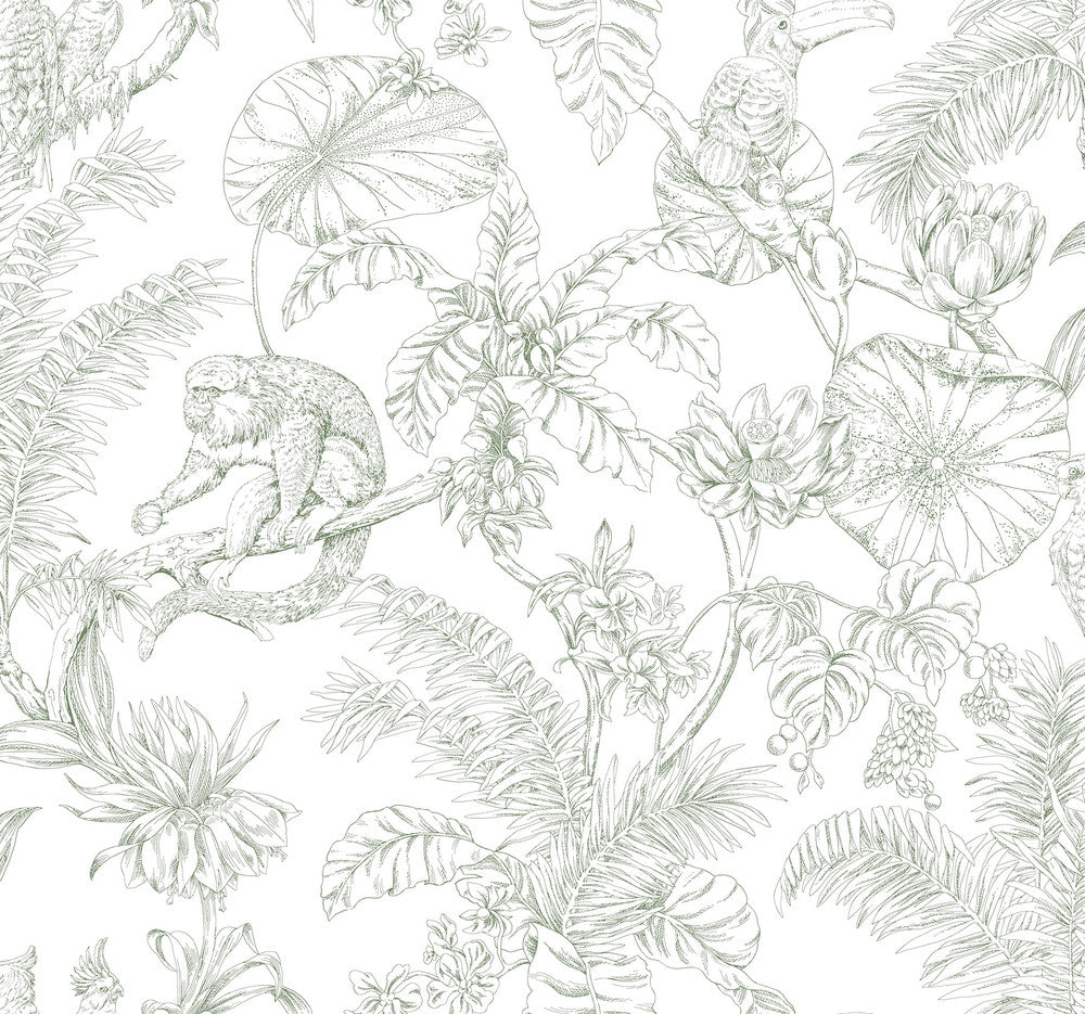 Tropical Sketch Toile Forest Wallpaper by York Wallcoverings Toile Resource Library Covers about 60.8 square feet 27-in by 27-ft long roll Unpasted 25.25 - Fabric Carolina -