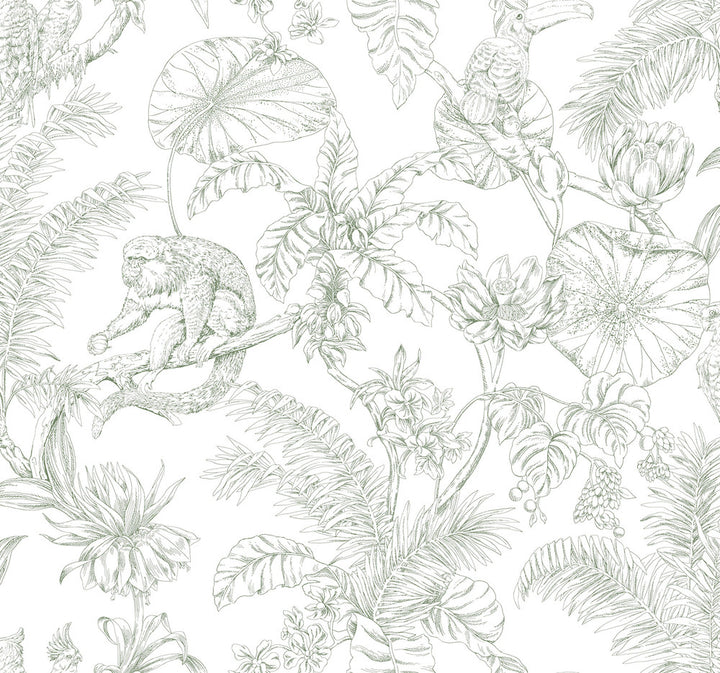 Tropical Sketch Toile Forest Wallpaper by York Wallcoverings Toile Resource Library Covers about 60.8 square feet 27-in by 27-ft long roll Unpasted 25.25 - Fabric Carolina -