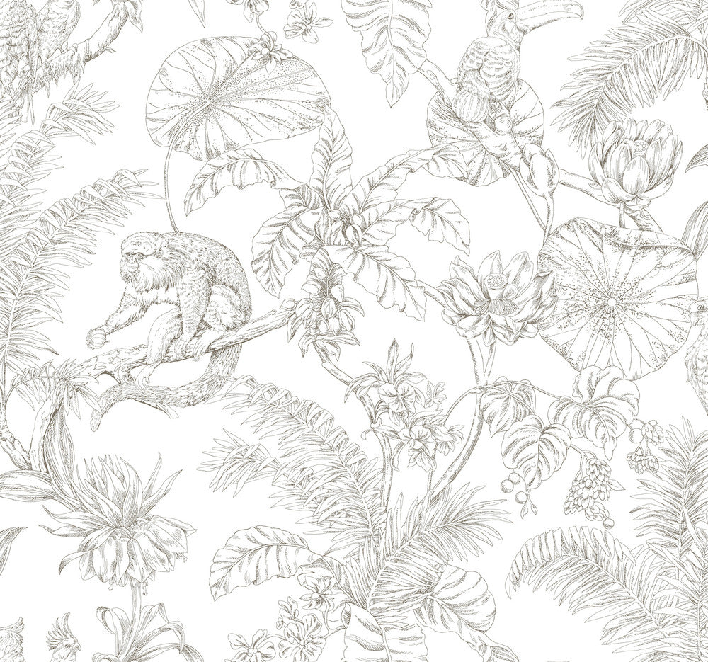 Tropical Sketch Toile Brown Wallpaper by York Wallcoverings Toile Resource Library Covers about 60.8 square feet 27-in by 27-ft long roll Unpasted 25.25 - Fabric Carolina -
