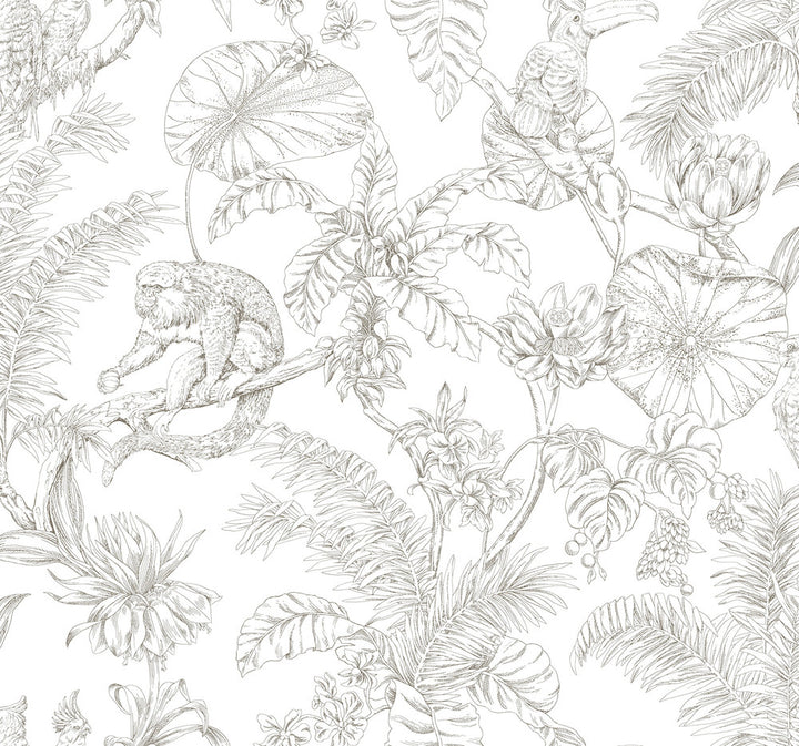 Tropical Sketch Toile Brown Wallpaper by York Wallcoverings Toile Resource Library Covers about 60.8 square feet 27-in by 27-ft long roll Unpasted 25.25 - Fabric Carolina -