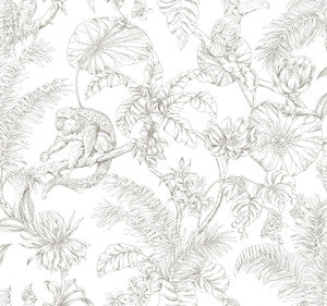Tropical Sketch Toile Brown Wallpaper by York Wallcoverings