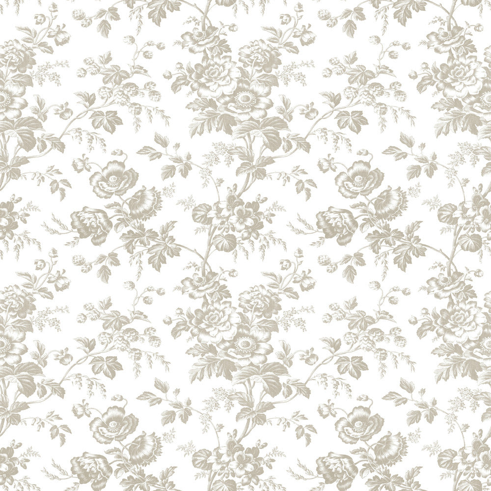 Anemone Toile Taupe Wallpaper by York Wallcoverings Toile Resource Library Covers about 56.4 square feet 20.5-in by 33-ft long roll Prepasted 20.5 - Fabric Carolina -