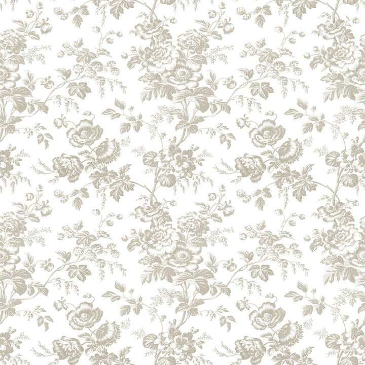 Anemone Toile Taupe Wallpaper by York Wallcoverings Toile Resource Library Covers about 56.4 square feet 20.5-in by 33-ft long roll Prepasted 20.5 - Fabric Carolina -