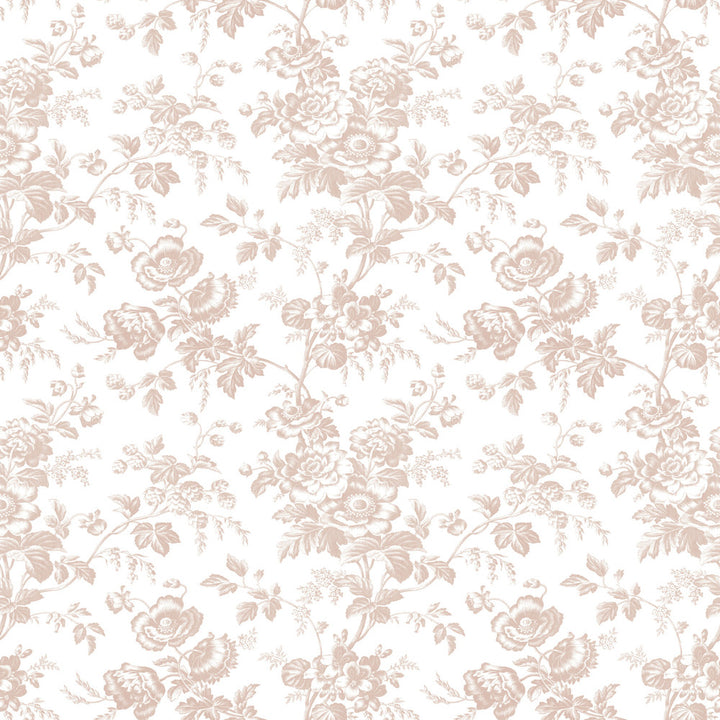 Anemone Toile Blush Wallpaper by York Wallcoverings Toile Resource Library Covers about 56.4 square feet 20.5-in by 33-ft long roll Prepasted 20.5 - Fabric Carolina -