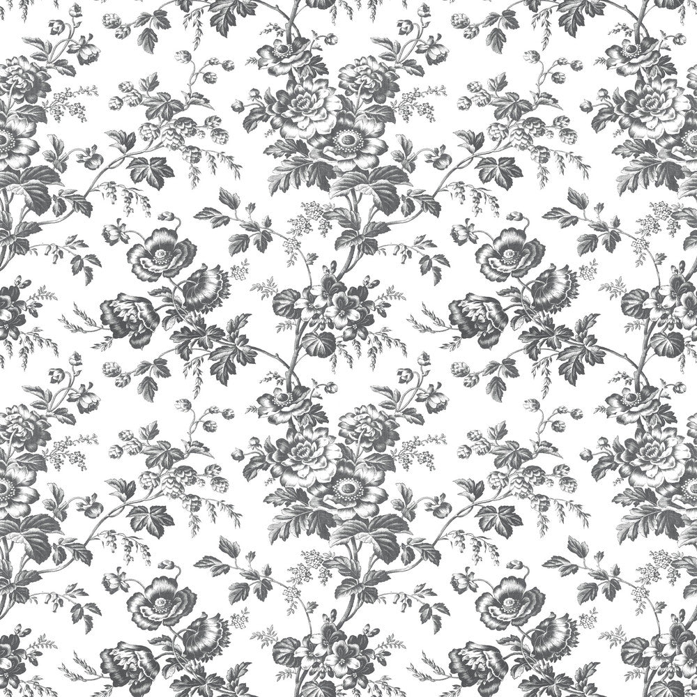 Anemone Toile Black Wallpaper by York Wallcoverings Toile Resource Library Covers about 56.4 square feet 20.5-in by 33-ft long roll Prepasted 20.5 - Fabric Carolina -