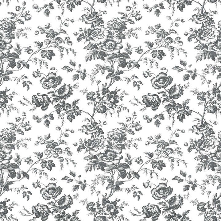 Anemone Toile Black Wallpaper by York Wallcoverings Toile Resource Library Covers about 56.4 square feet 20.5-in by 33-ft long roll Prepasted 20.5 - Fabric Carolina -