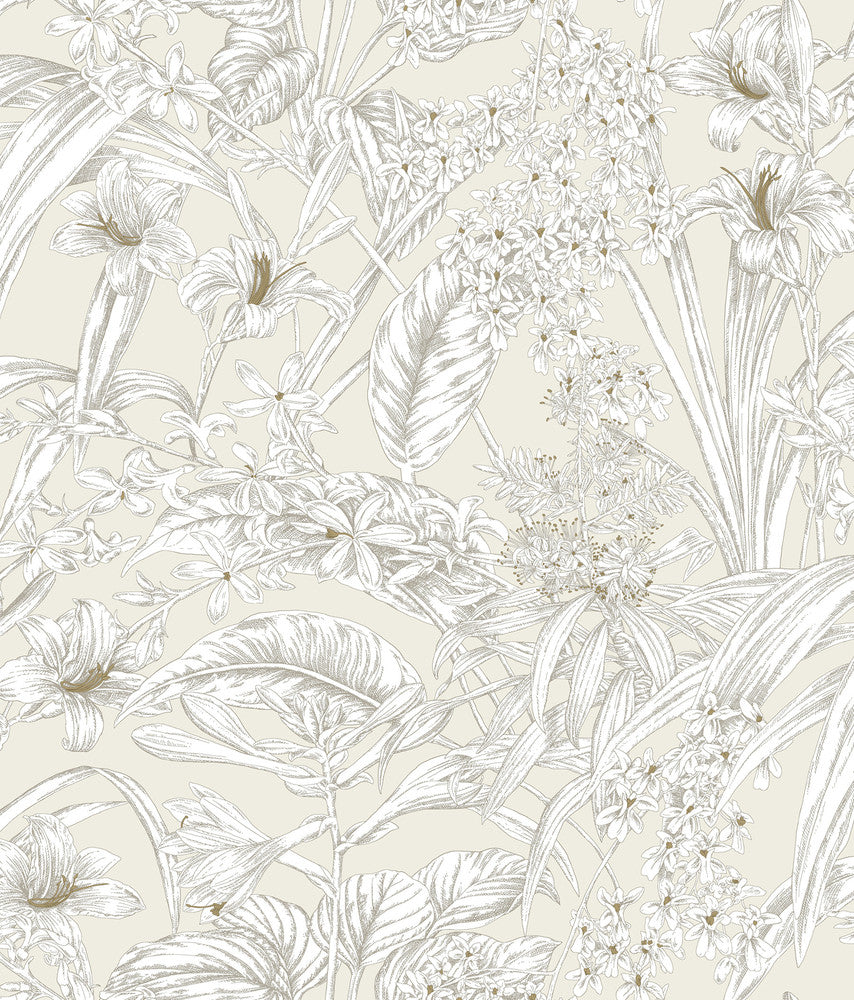 Orchid Conservatory Toile Beige & Taupe Wallpaper by York Wallcoverings Toile Resource Library Covers about 56.4 square feet 20.5-in by 33-ft long roll Unpasted 24 - Fabric Carolina -