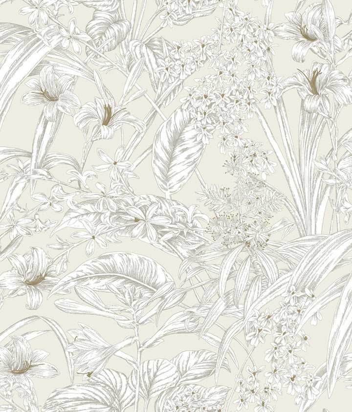 Orchid Conservatory Toile Beige & Taupe Wallpaper by York Wallcoverings Toile Resource Library Covers about 56.4 square feet 20.5-in by 33-ft long roll Unpasted 24 - Fabric Carolina -